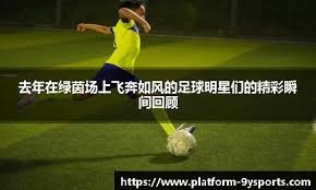 2025年广东省跆拳道联赛总决赛在佛山收官