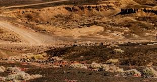 武侠网游新纪元：《射雕》的突破与挑战